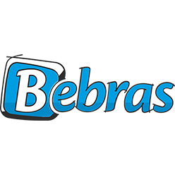 海狸Bebras国际计算思维挑战赛